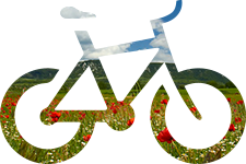 offerta bike