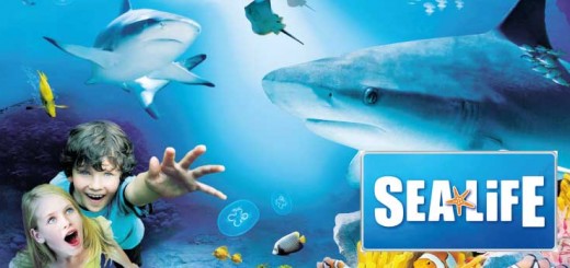 SealifeAcquarium