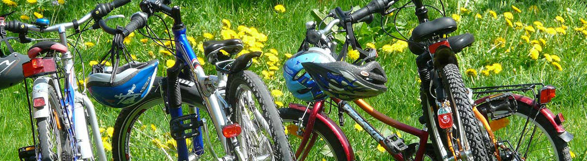 Offerta bike